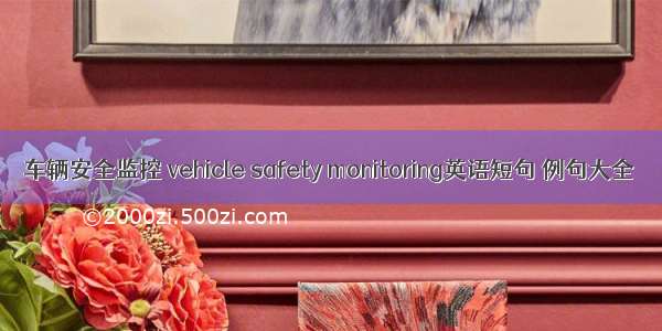 车辆安全监控 vehicle safety monitoring英语短句 例句大全