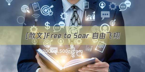 [散文]Free to Soar 自由飞翔