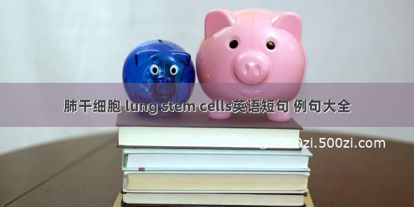 肺干细胞 lung stem cells英语短句 例句大全