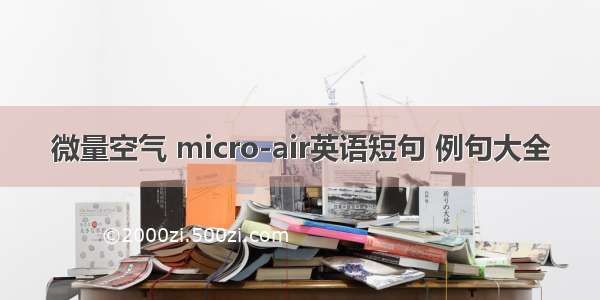 微量空气 micro-air英语短句 例句大全