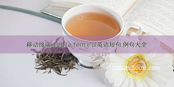 移动终端 mobile terminal英语短句 例句大全