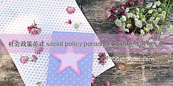 社会政策范式 social policy paradigms英语短句 例句大全