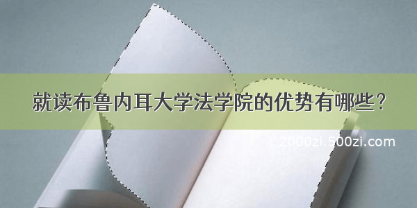 就读布鲁内耳大学法学院的优势有哪些？