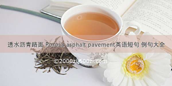 透水沥青路面 Porous asphalt pavement英语短句 例句大全