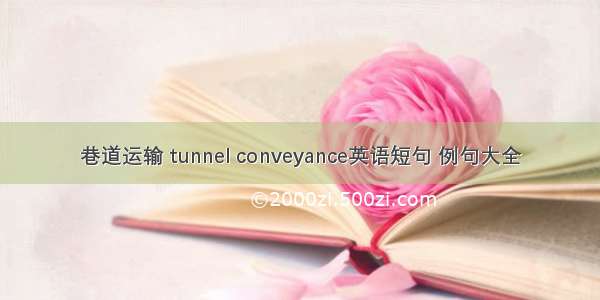 巷道运输 tunnel conveyance英语短句 例句大全