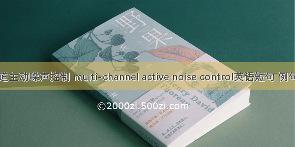 多通道主动噪声控制 multi-channel active noise control英语短句 例句大全