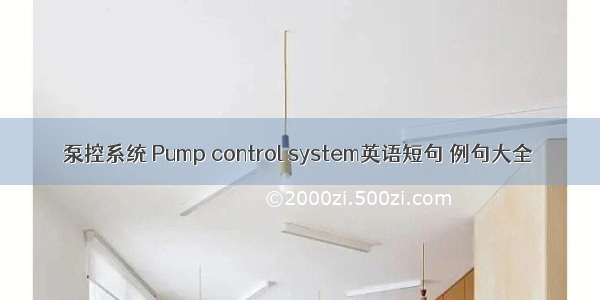 泵控系统 Pump control system英语短句 例句大全