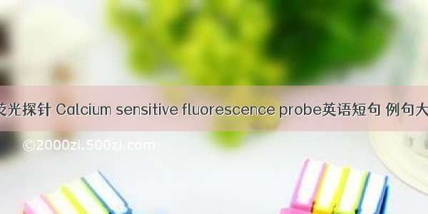 钙荧光探针 Calcium sensitive fluorescence probe英语短句 例句大全