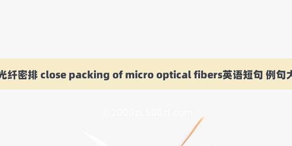 微光纤密排 close packing of micro optical fibers英语短句 例句大全