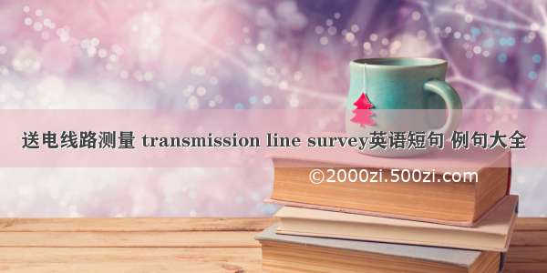 送电线路测量 transmission line survey英语短句 例句大全
