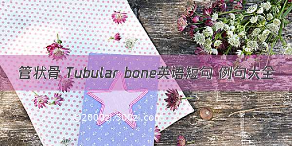 管状骨 Tubular bone英语短句 例句大全