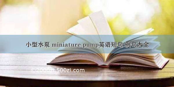 小型水泵 miniature pump英语短句 例句大全