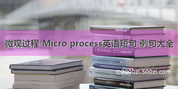 微观过程 Micro process英语短句 例句大全