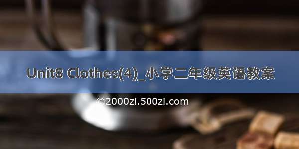 Unit8 Clothes(4)_小学二年级英语教案