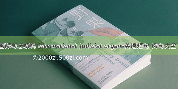 国际司法机构 international judicial organs英语短句 例句大全