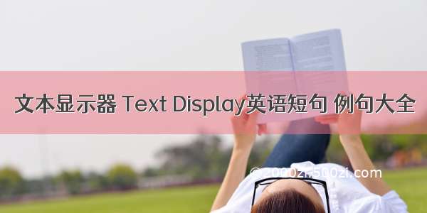 文本显示器 Text Display英语短句 例句大全