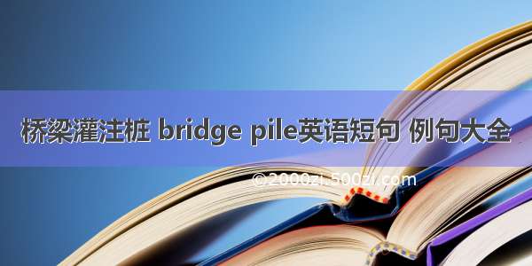 桥梁灌注桩 bridge pile英语短句 例句大全