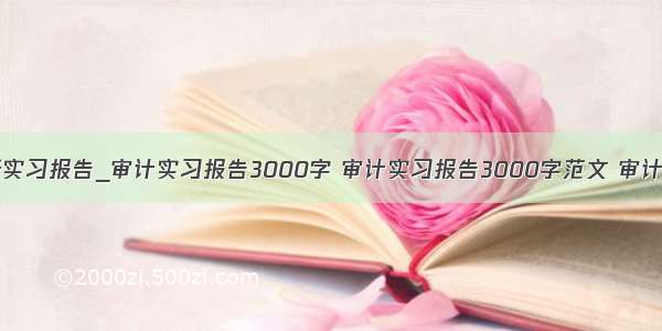 会计师事务所实习报告_审计实习报告3000字 审计实习报告3000字范文 审计实习报告300