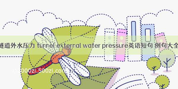 隧道外水压力 tunnel external water pressure英语短句 例句大全