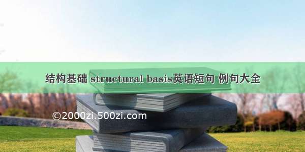 结构基础 structural basis英语短句 例句大全