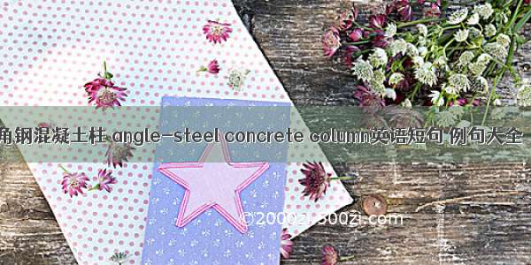 角钢混凝土柱 angle-steel concrete column英语短句 例句大全