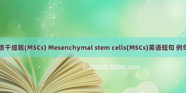 间充质干细胞(MSCs) Mesenchymal stem cells(MSCs)英语短句 例句大全