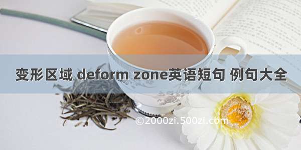 变形区域 deform zone英语短句 例句大全