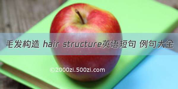 毛发构造 hair structure英语短句 例句大全