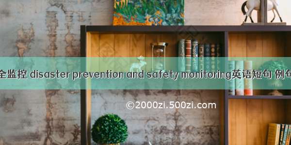 防灾安全监控 disaster prevention and safety monitoring英语短句 例句大全