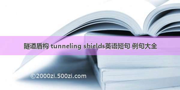 隧道盾构 tunneling shields英语短句 例句大全