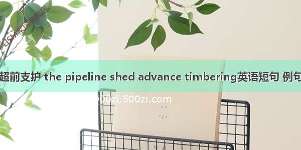 管棚超前支护 the pipeline shed advance timbering英语短句 例句大全