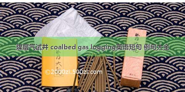 煤层气试井 coalbed gas logging英语短句 例句大全