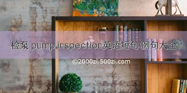 检泵 pump inspection英语短句 例句大全