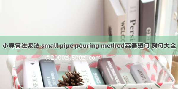 小导管注浆法 small pipe pouring method英语短句 例句大全