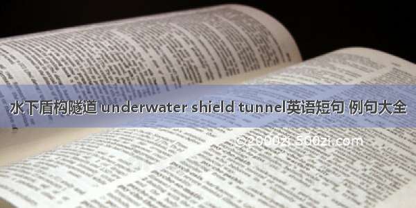 水下盾构隧道 underwater shield tunnel英语短句 例句大全