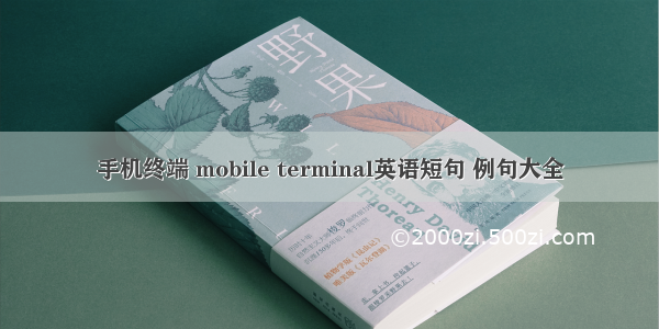 手机终端 mobile terminal英语短句 例句大全