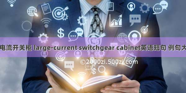 大电流开关柜 large-current switchgear cabinet英语短句 例句大全