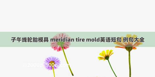 子午线轮胎模具 meridian tire mold英语短句 例句大全