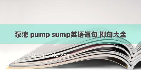 泵池 pump sump英语短句 例句大全