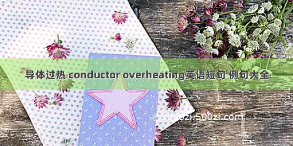 导体过热 conductor overheating英语短句 例句大全