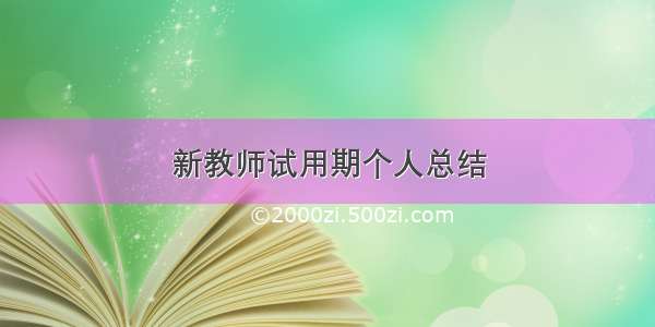 新教师试用期个人总结