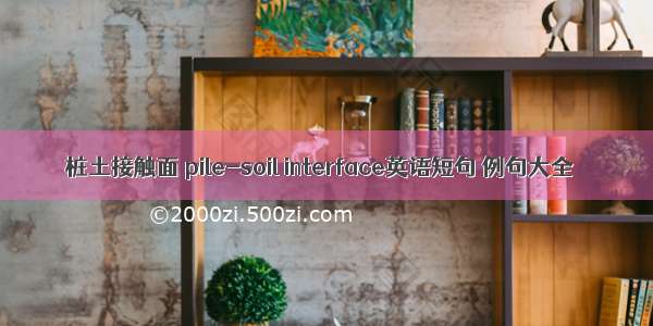 桩土接触面 pile-soil interface英语短句 例句大全