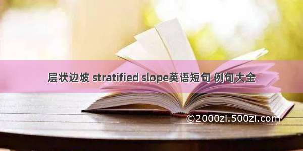 层状边坡 stratified slope英语短句 例句大全