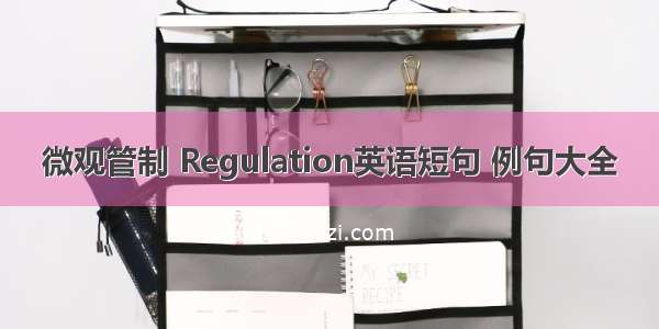 微观管制 Regulation英语短句 例句大全