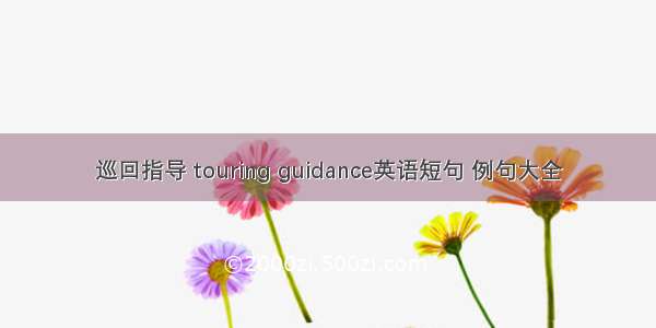 巡回指导 touring guidance英语短句 例句大全