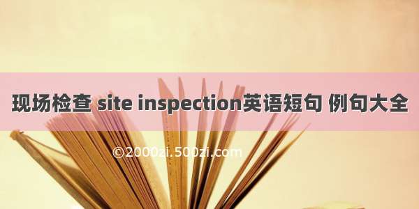 现场检查 site inspection英语短句 例句大全