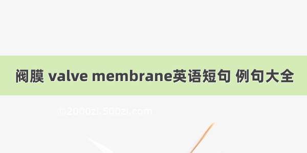 阀膜 valve membrane英语短句 例句大全