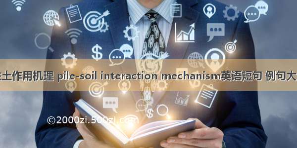 桩土作用机理 pile-soil interaction mechanism英语短句 例句大全