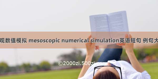 细观数值模拟 mesoscopic numerical simulation英语短句 例句大全