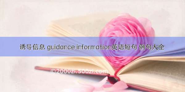 诱导信息 guidance information英语短句 例句大全